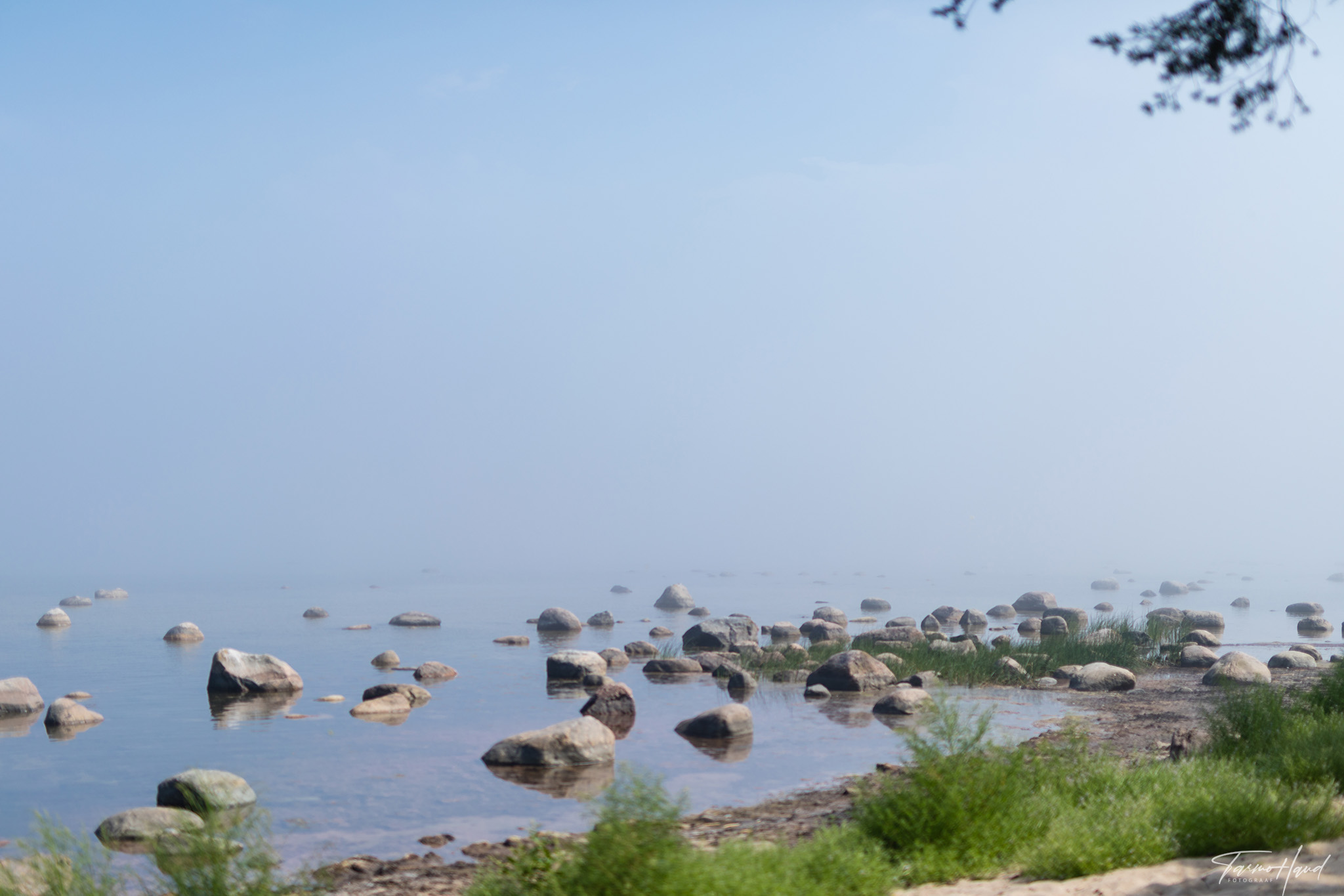 SKEG 2018 Pedassaarel