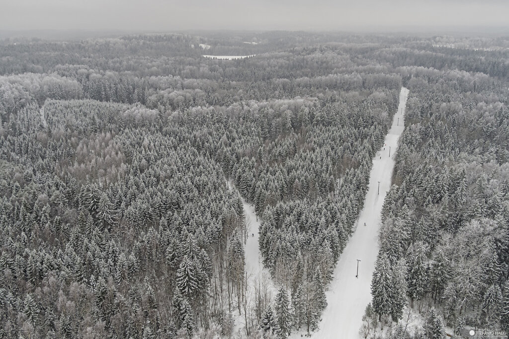 Haanja cross-country ski tracks